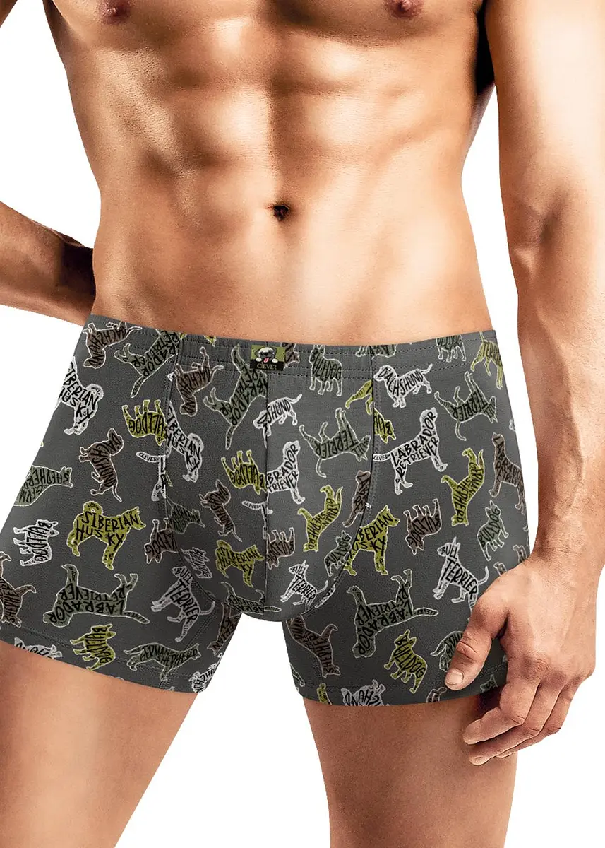 

Трусы, Коричневый;коричневый/св.бежевый