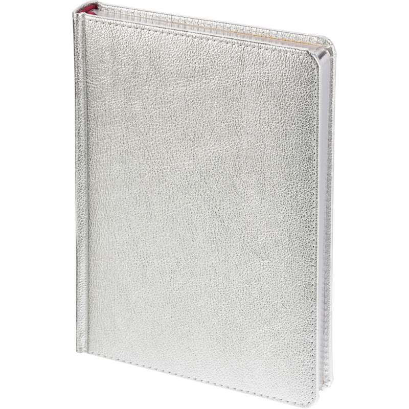 

Ежедневник недатированный Bruno Visconti Sidney Nebraska искусственная кожа А5 136 листов серебристый (серебристый обрез)