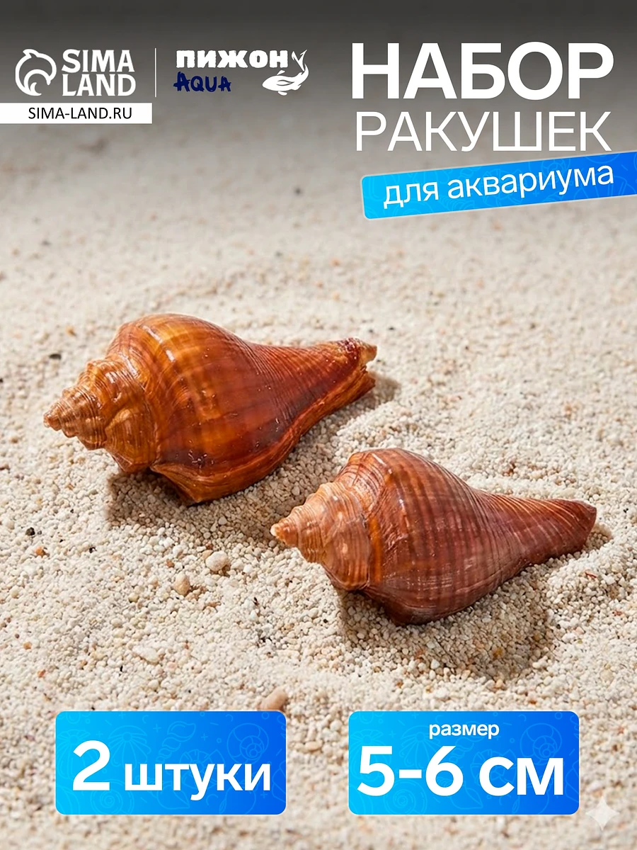 

Ракушка декоративная, длина 5-6 см, ширина 4 см, Коричневый