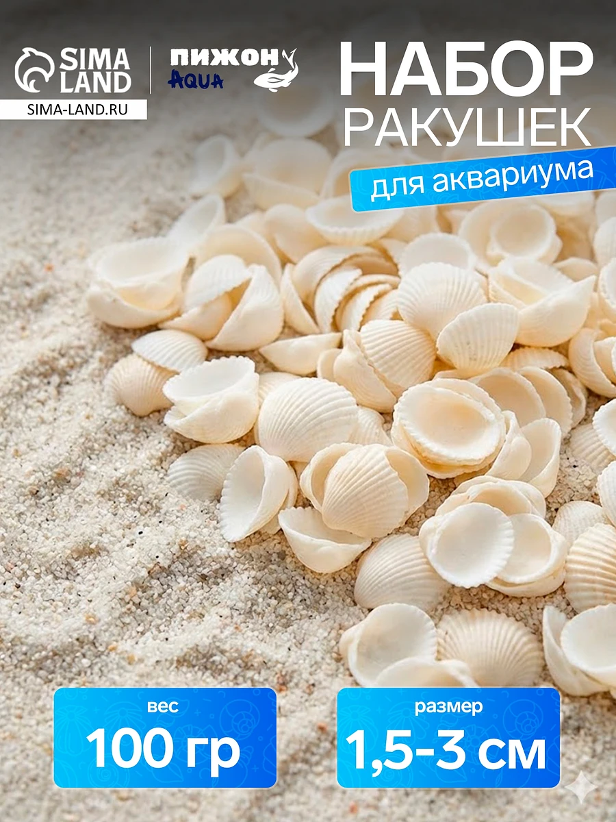

Набор ракушек декоративных 1.5-3 см, 100 г, Белый