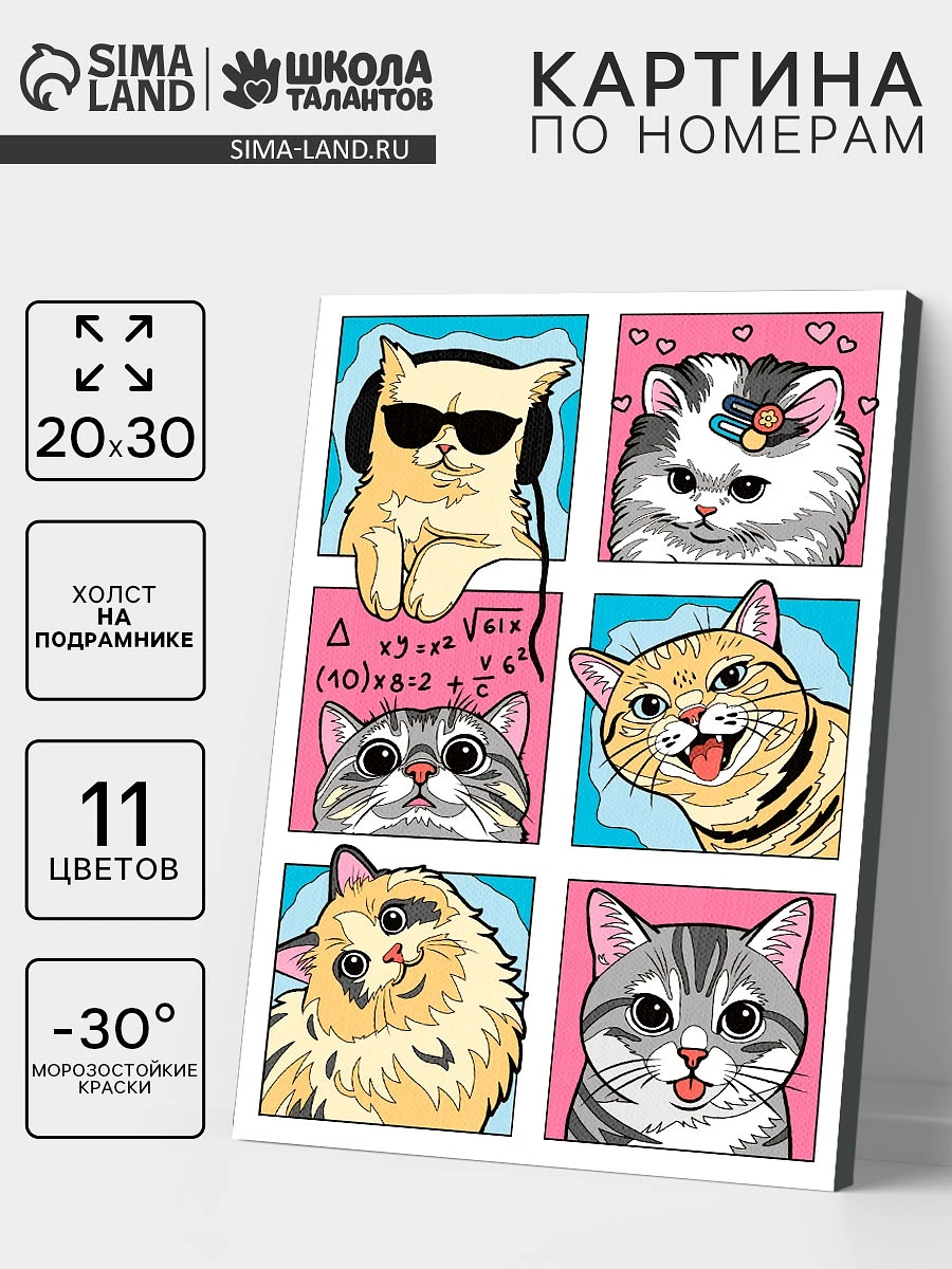 

Картина по номерам на холсте с подрамником