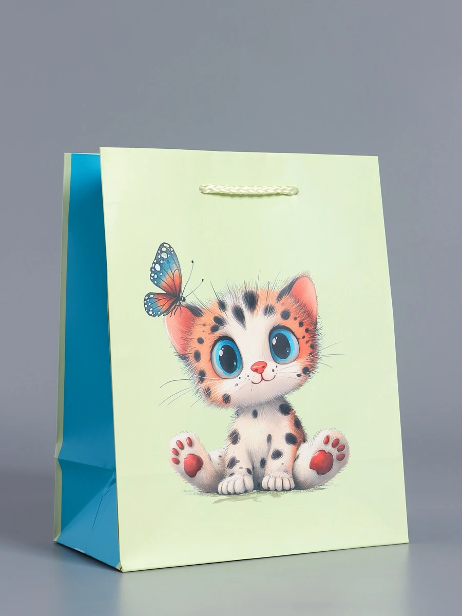 

Пакет подарочный ламинированный, Зеленый;голубой