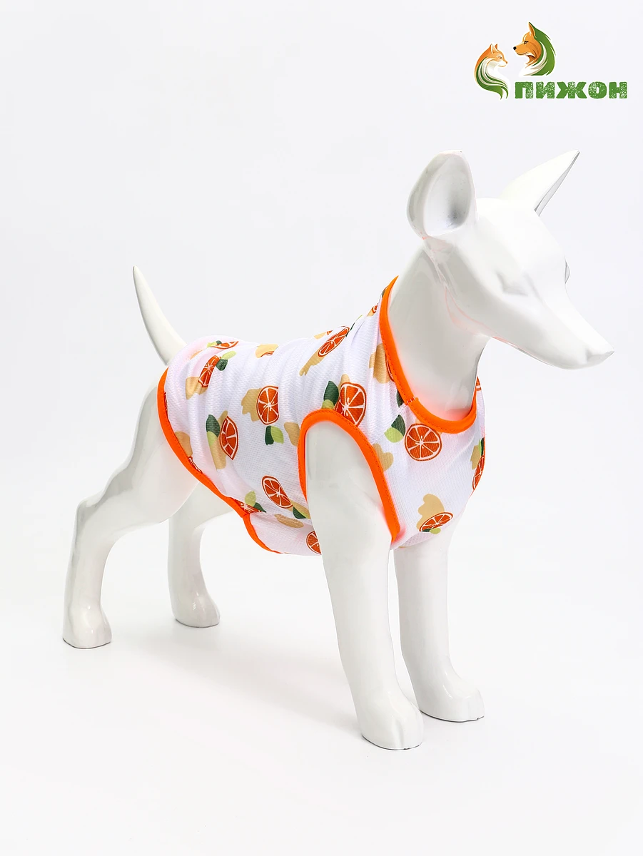 

Футболка, Белый