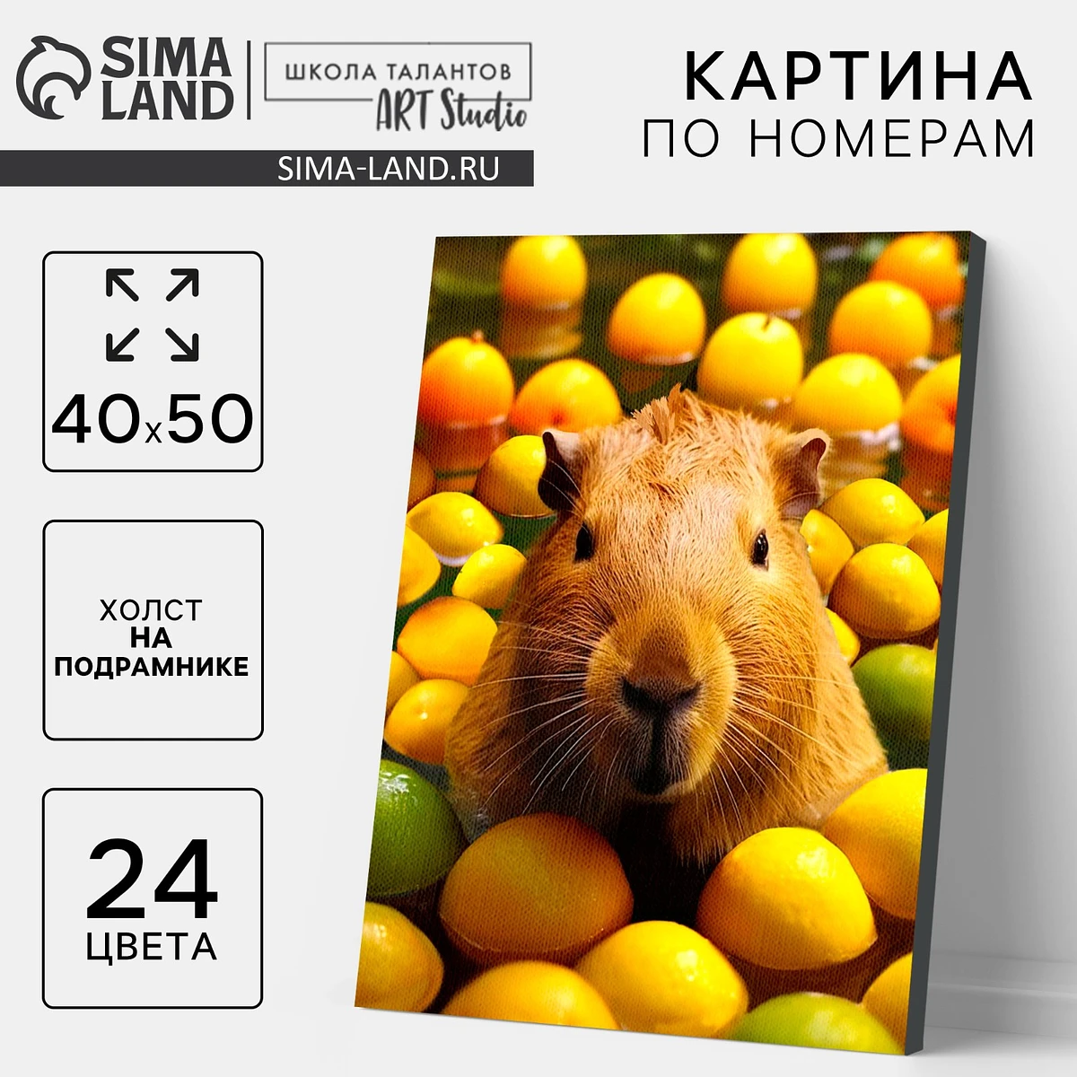 

Картина по номерам на холсте с подрамником