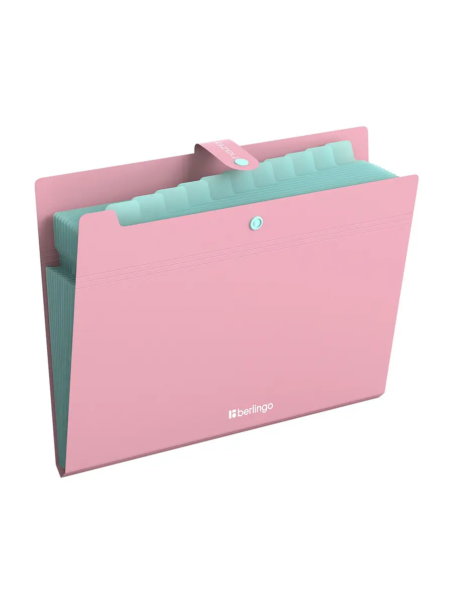 

Папка а4 haze, 12 отделений, 600 мкм, на кнопке, розовая, Розовый