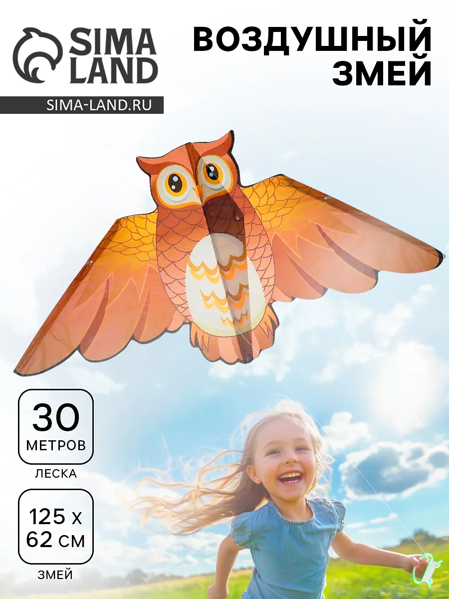 

Воздушный змей