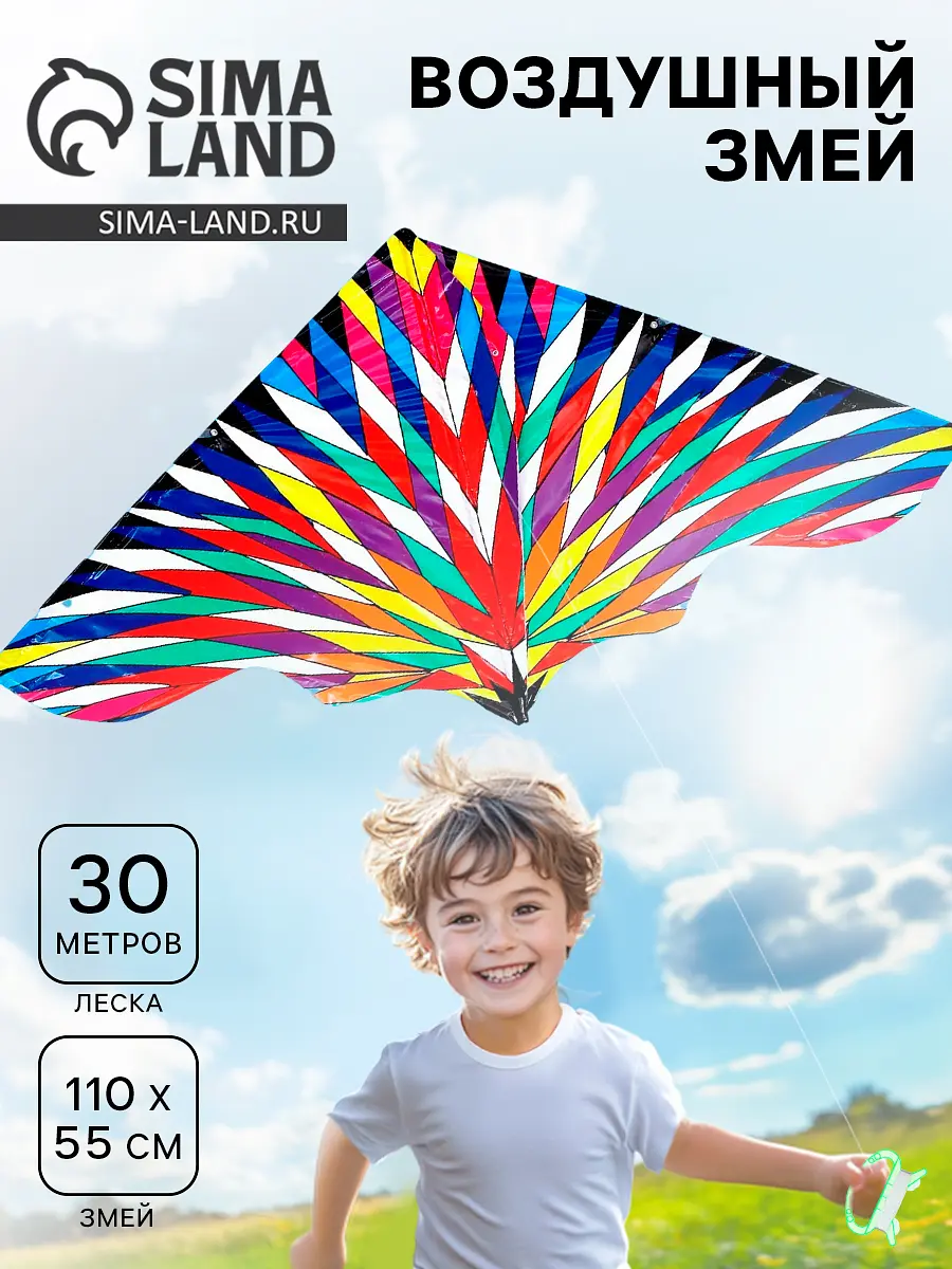 

Воздушный змей