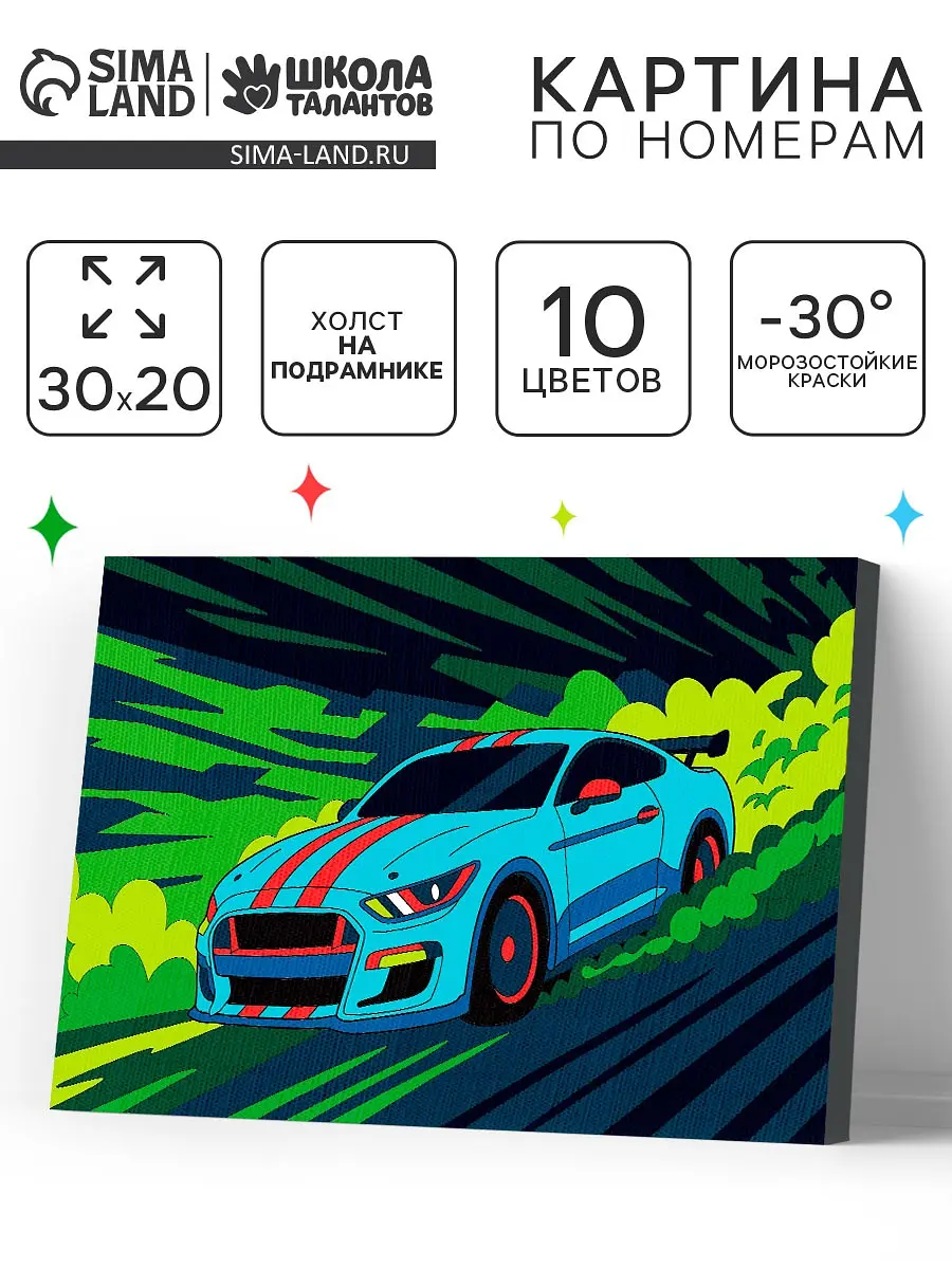 

Картина по номерам на холсте с подрамником