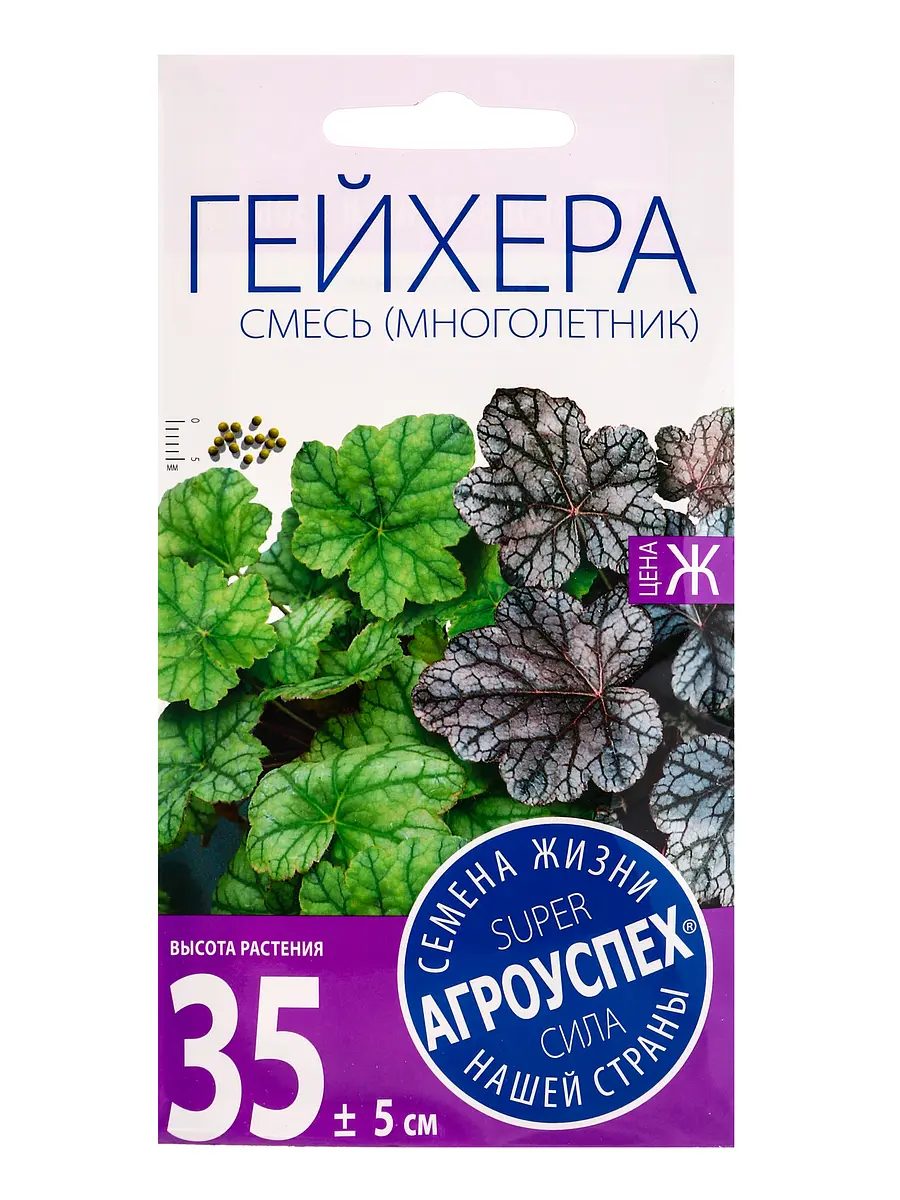 

Семена цветов гейхера