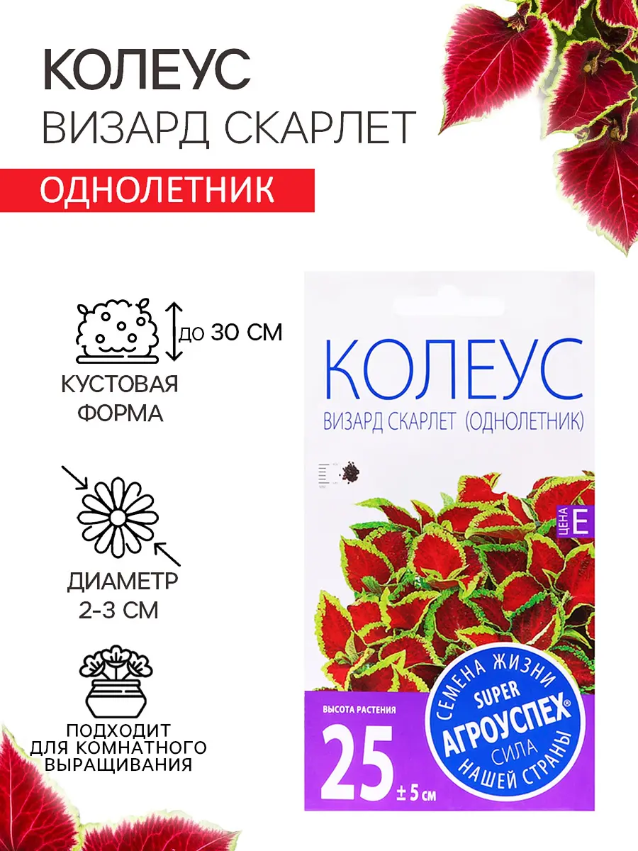 

Семена цветов колеус, Красный