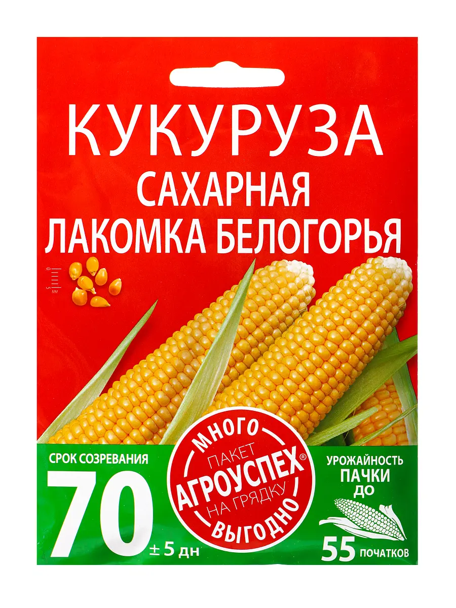 

Семена кукуруза