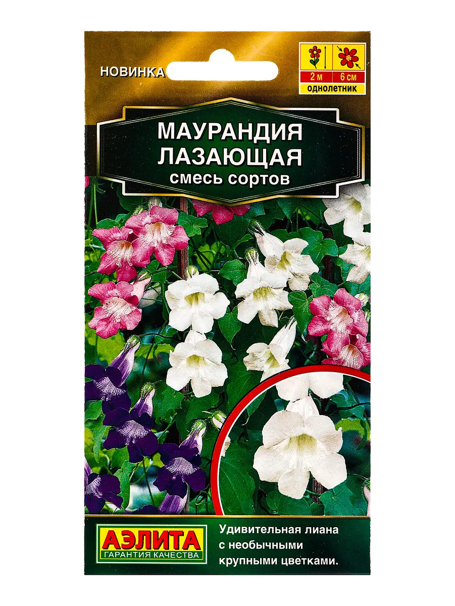 

Семена цветов маурандия лазающая, смесь сортов золотая серия, ц/п,5 шт.