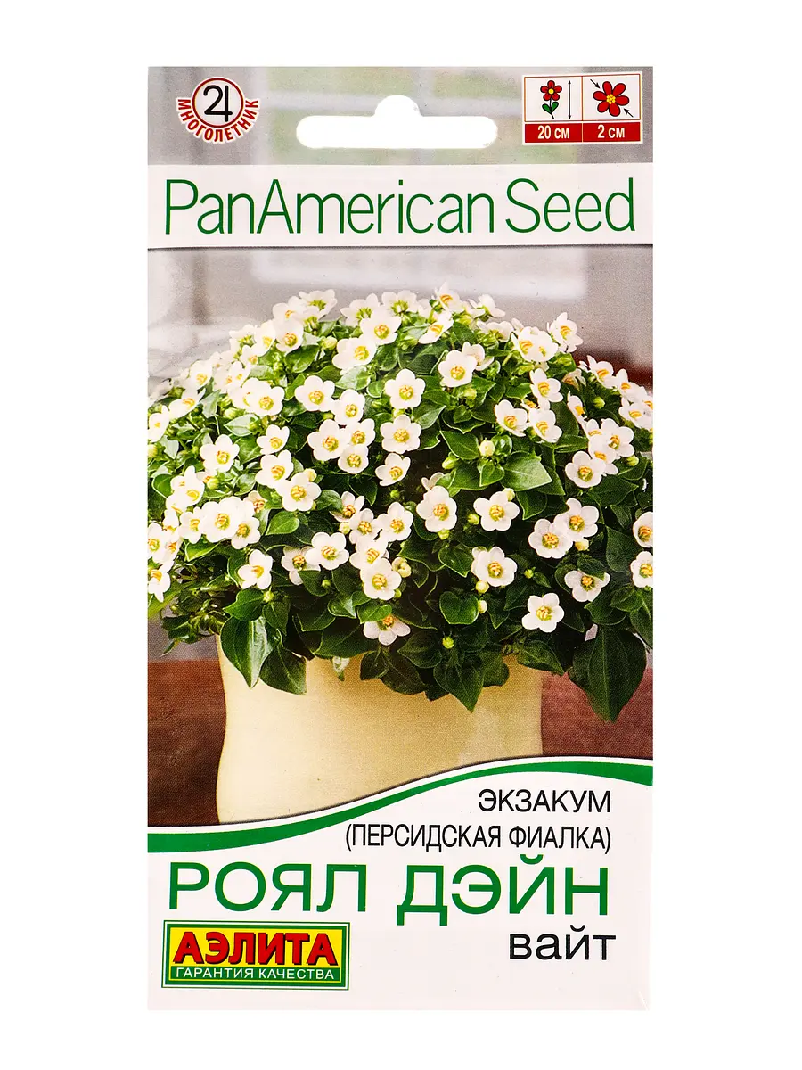 

Семена цветов экзакум (персидская фиалка) роял дэйн вайт (драже) panamerican, ц/п,4 шт., Белый