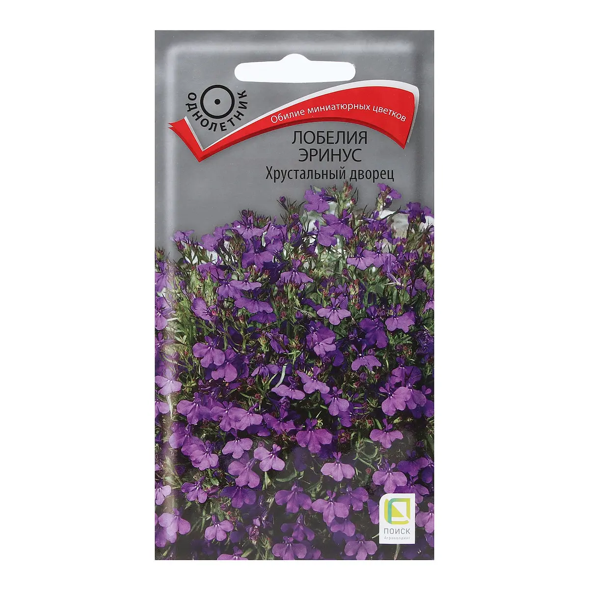 

Семена цветов лобелия эринус, Фиолетовый