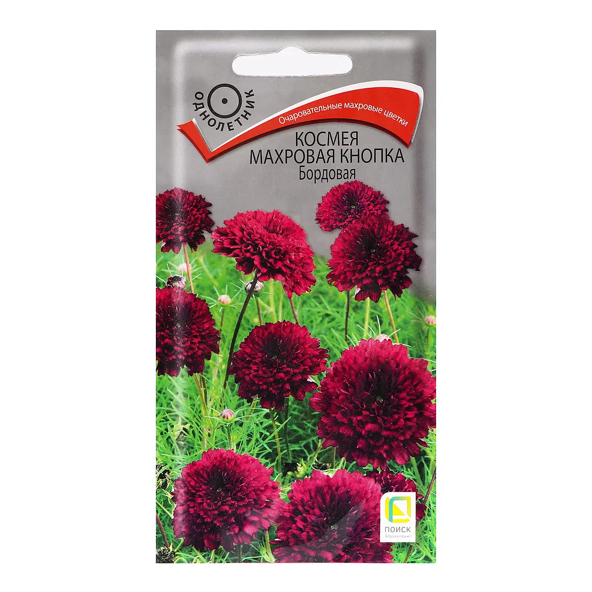 

Семена цветов космея, Бордовый