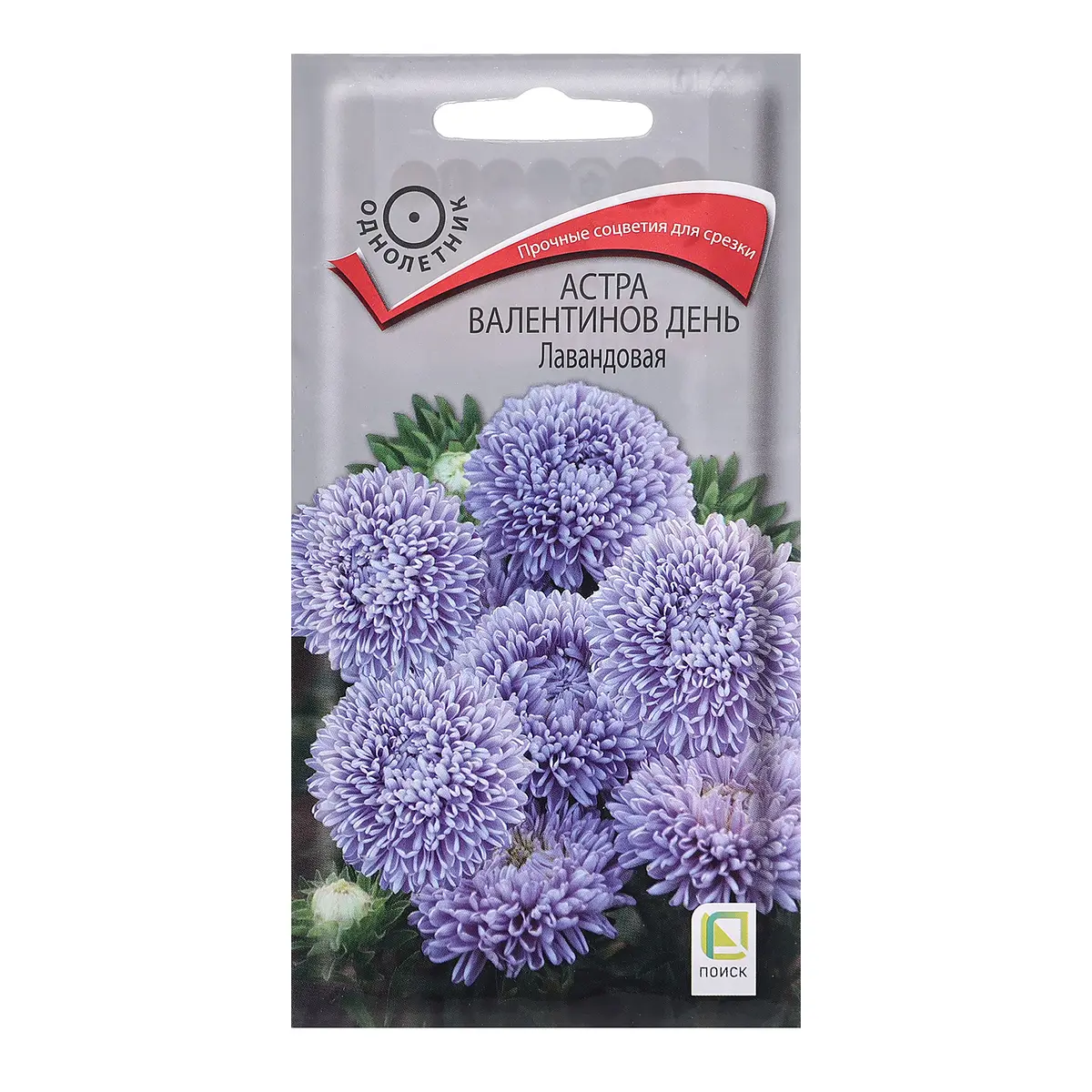 

Семена цветов астра, Голубой