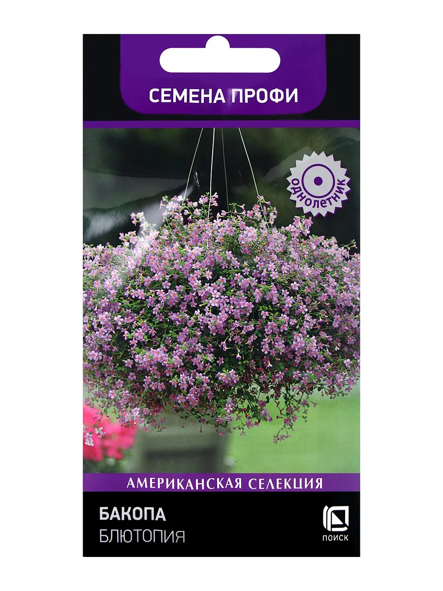 

Семена цветов бакопа блютопия, 5шт, Фиолетовый