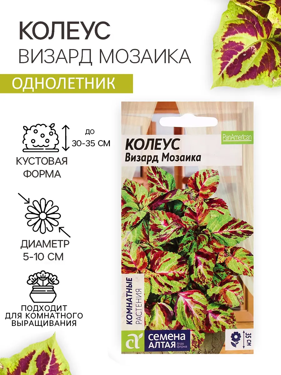 

Семена цветов колеус, Разноцветный