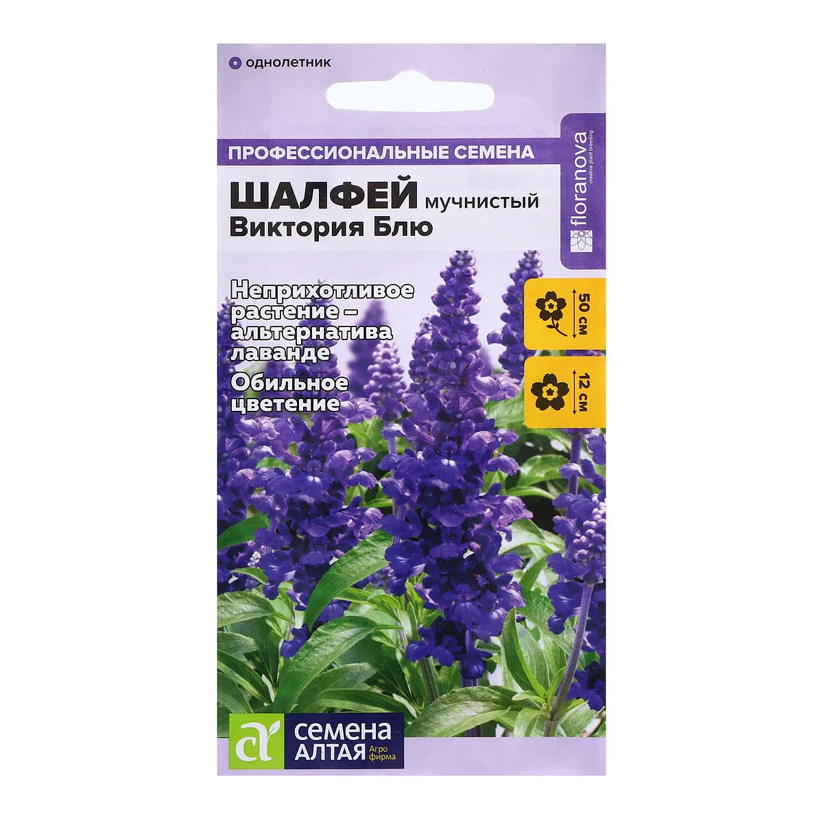 

Семена шалфей