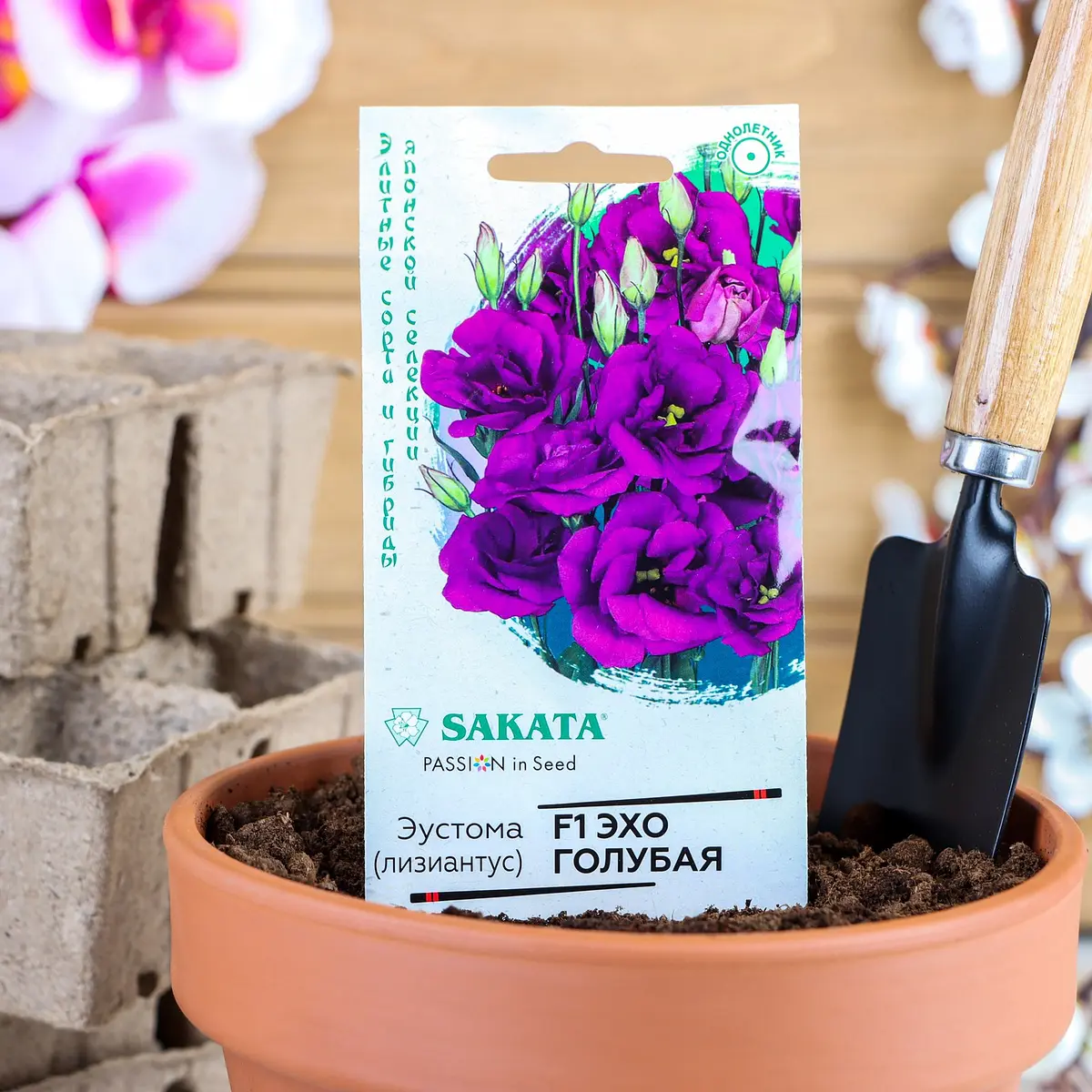 

Семена цветов эустома, Фиолетовый