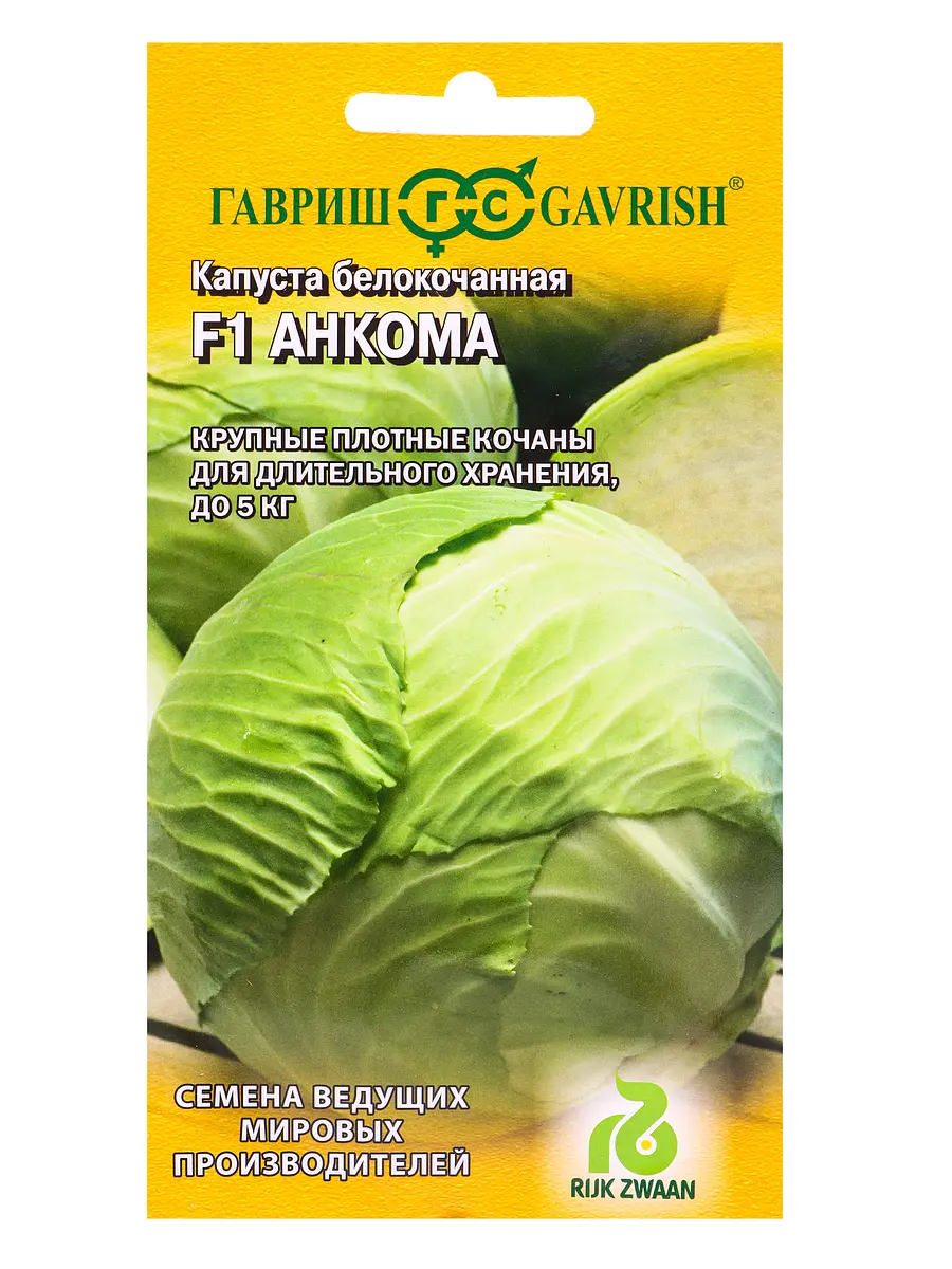 

Семена капуста белокочанная