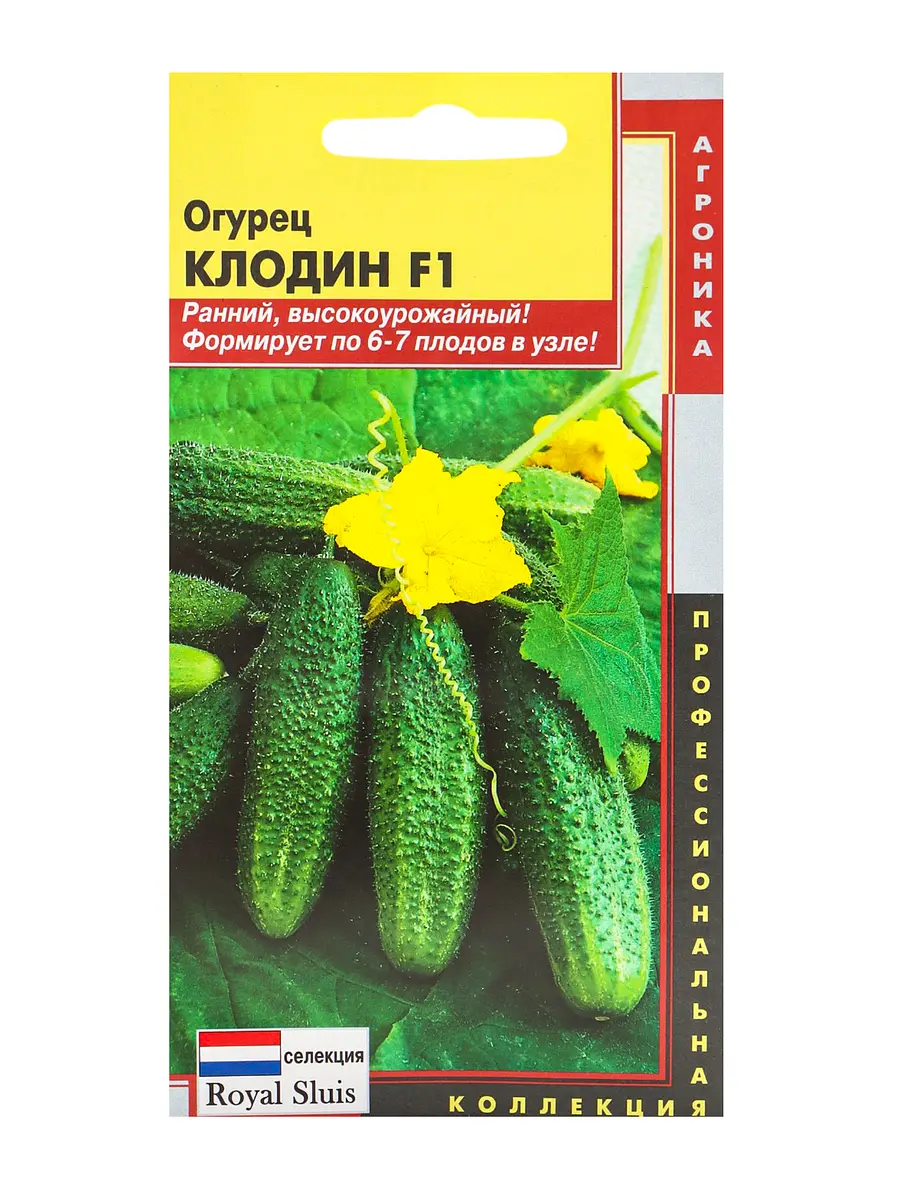 

Семена огурец