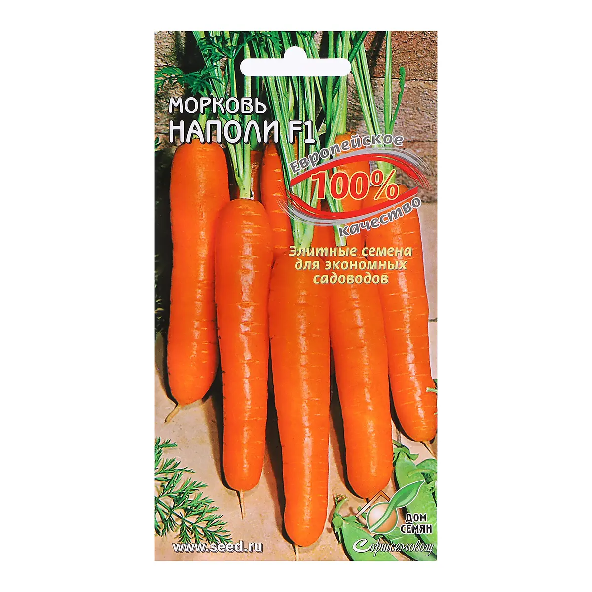 

Семена морковь