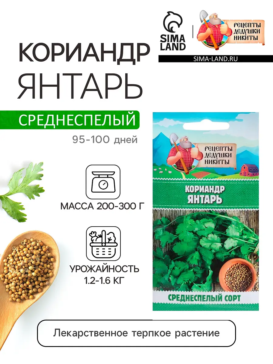 

Семена кориандр