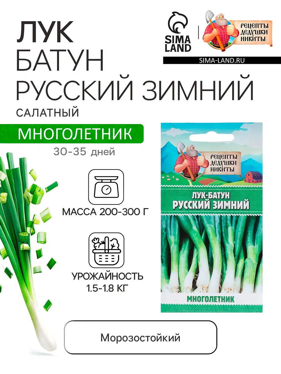 

Семена лук-батун