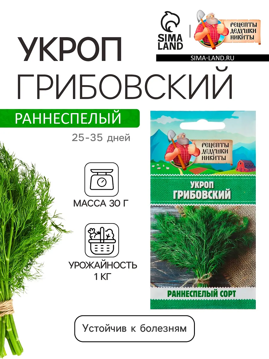 

Семена укроп