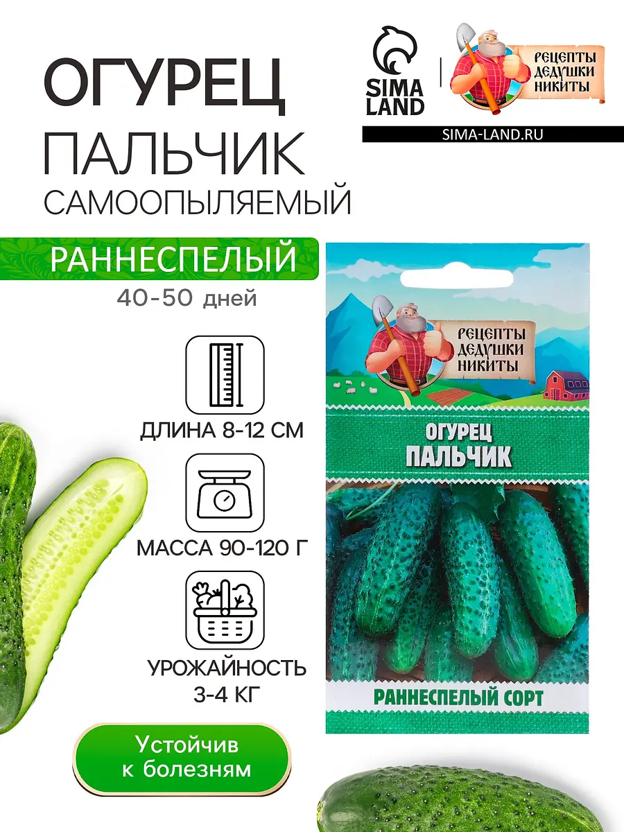 

Семена огурец