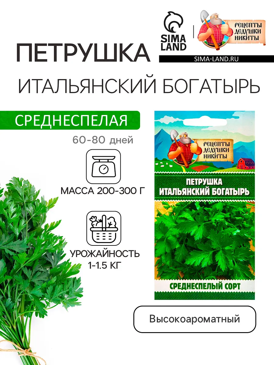 

Семена петрушка