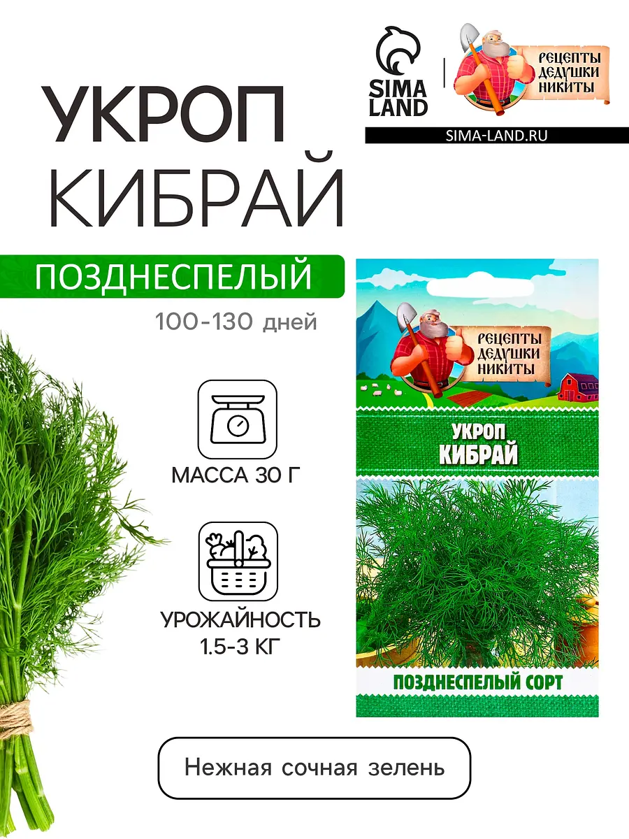 

Семена укроп