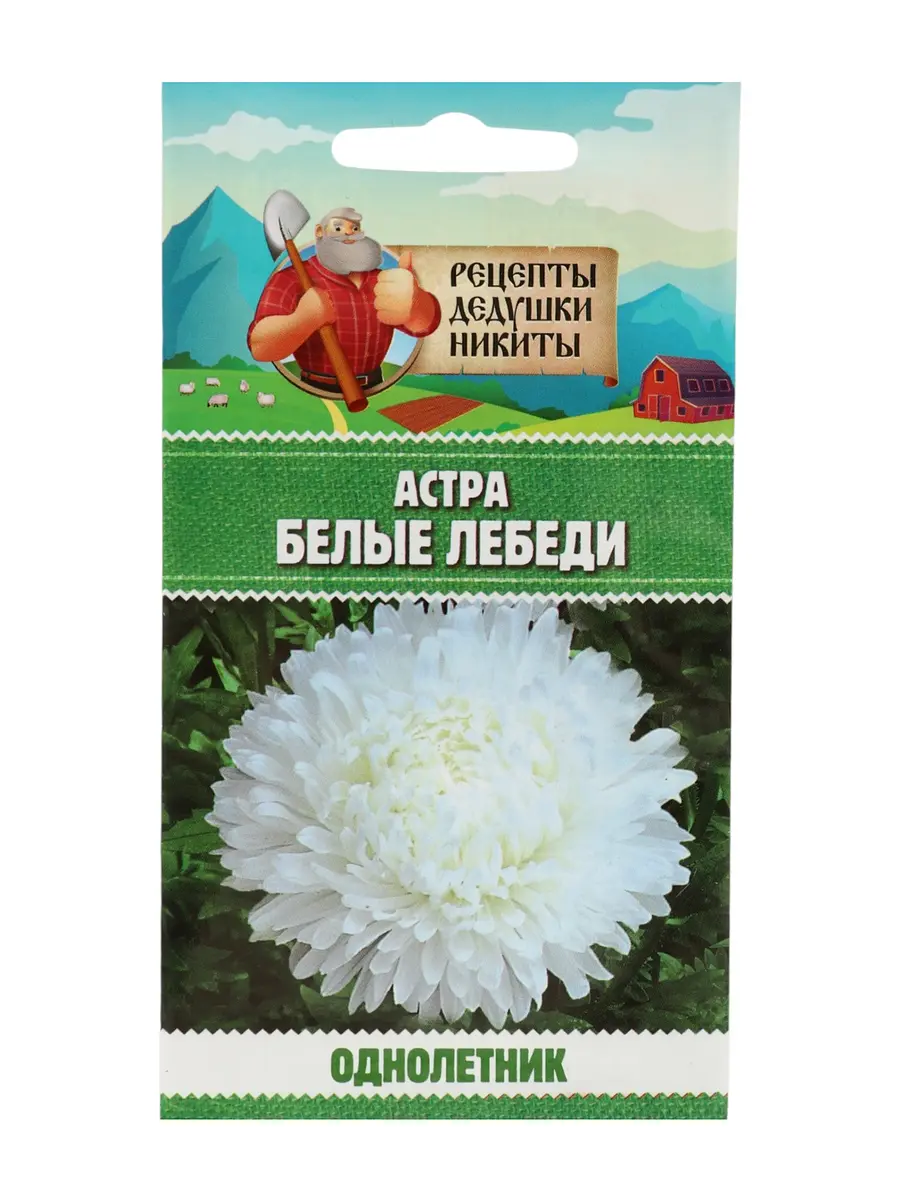 

Семена цветов астра, Белый