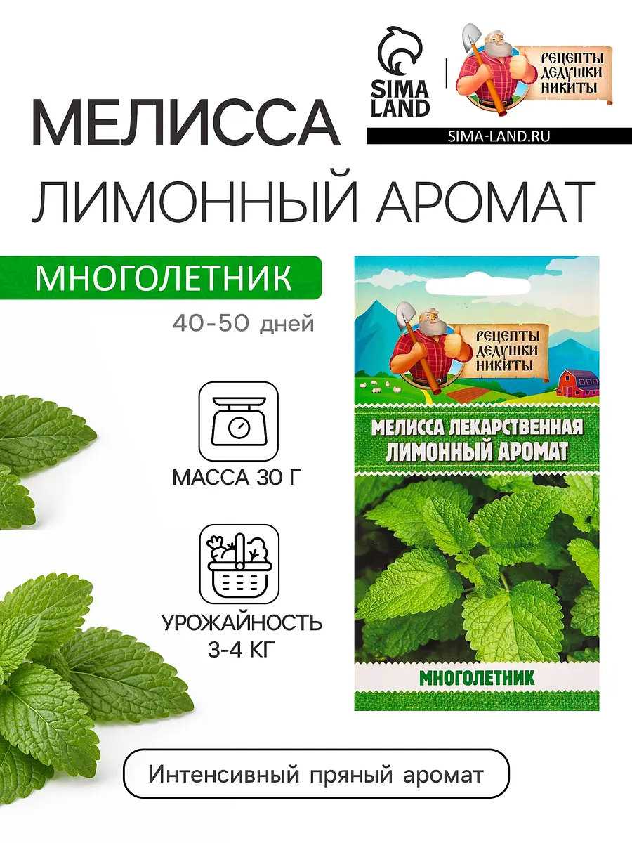 

Семена мелисса лекарственная