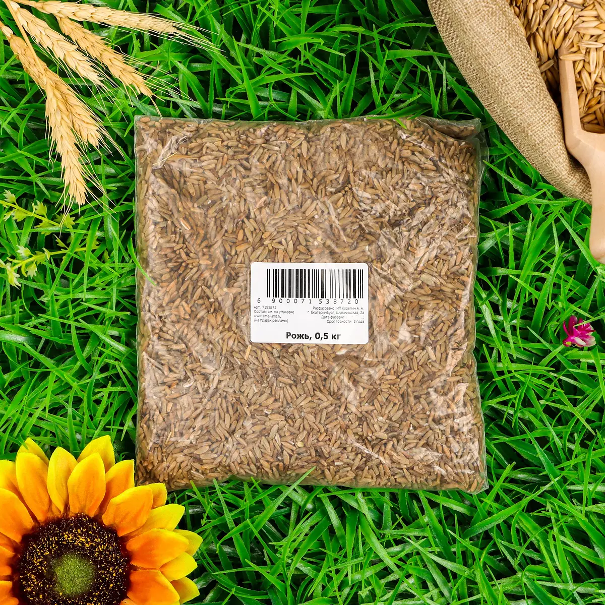 

Семена рожь