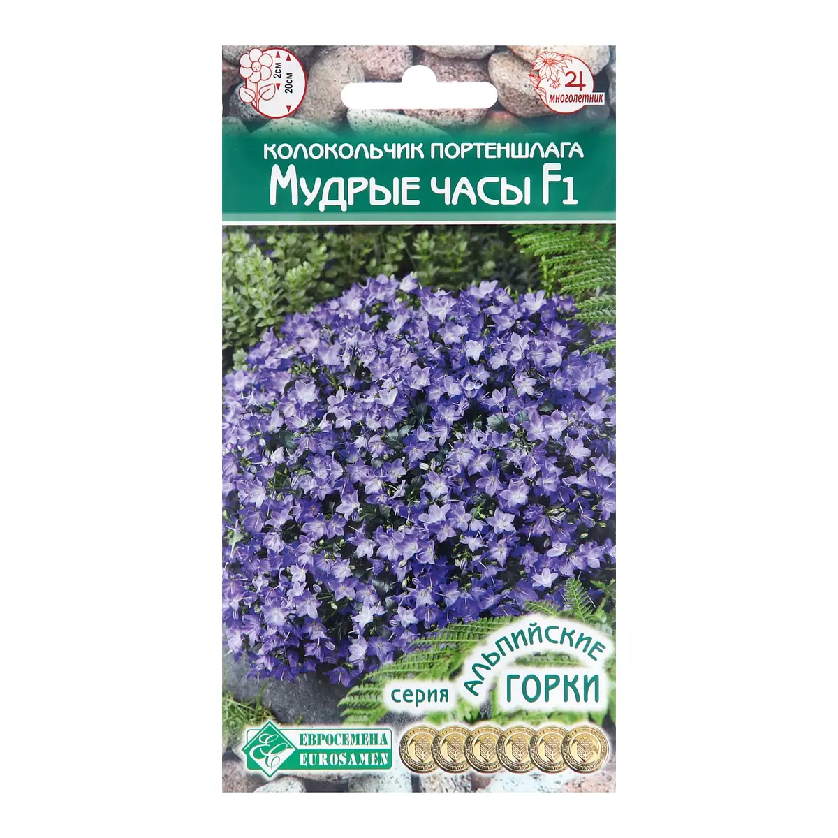 

Семена колокольчик портеншлага, Фиолетовый