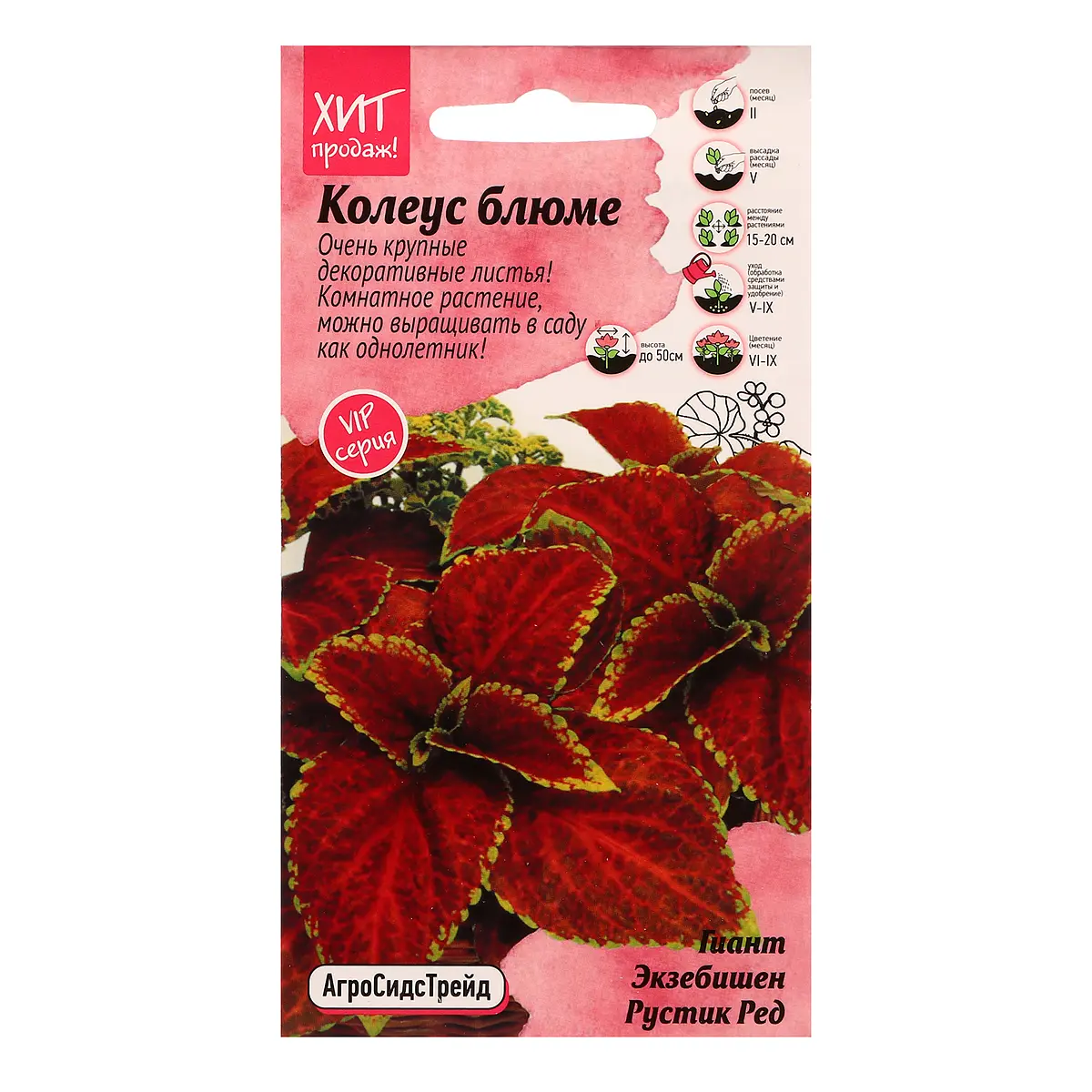 

Семена цветов колеус блюме, Бордовый