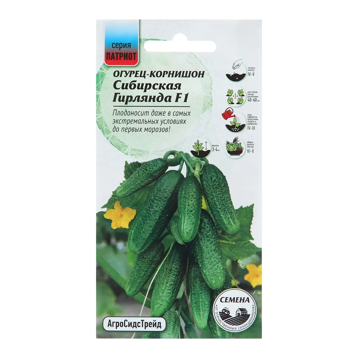 

Семена огурец