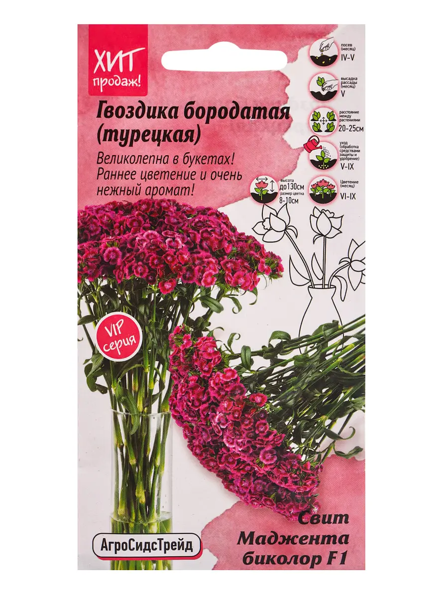 

Семена цветов гвоздика бородатая свит маджента биколор 6 шт
