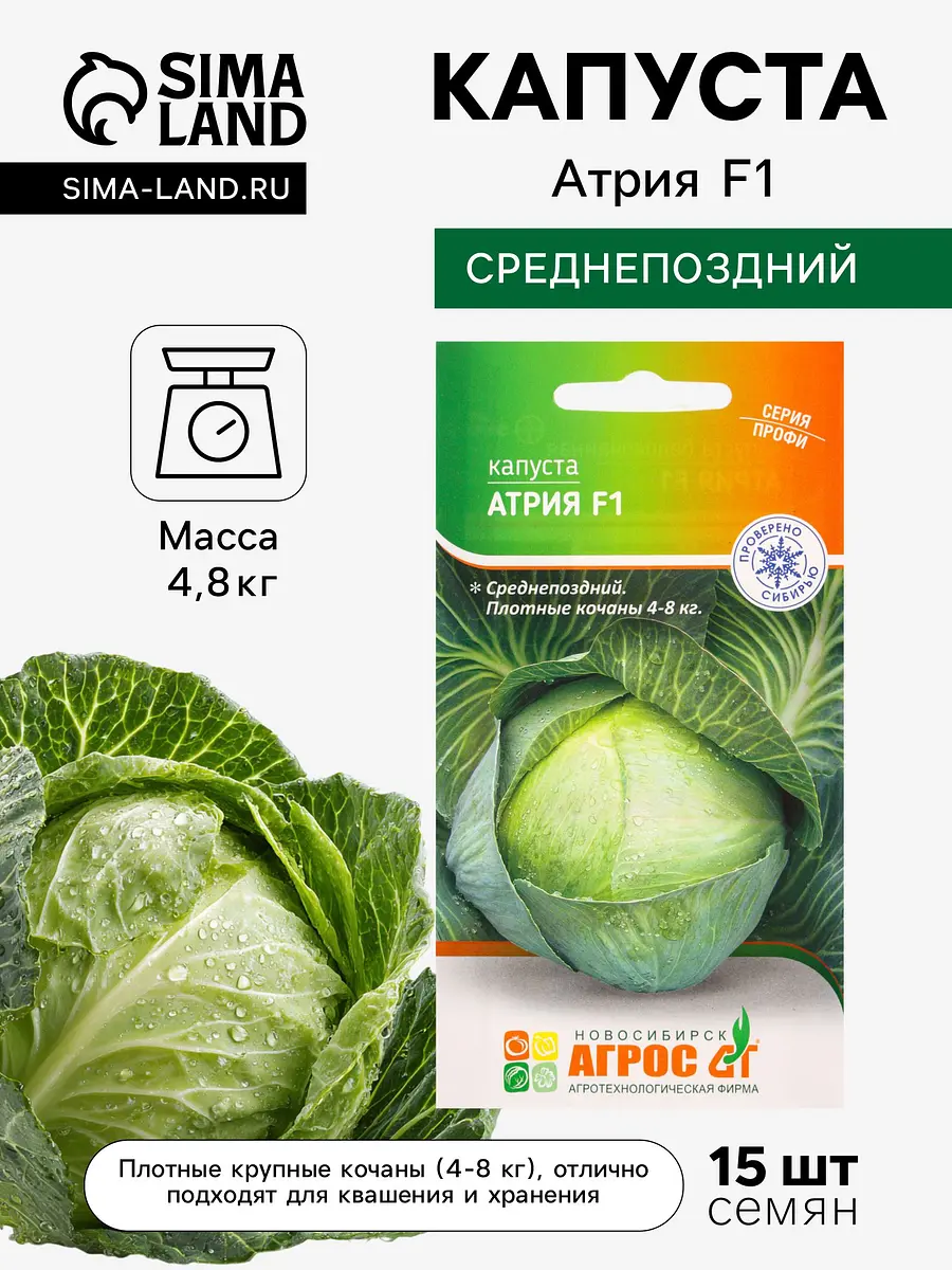 

Семена капуста