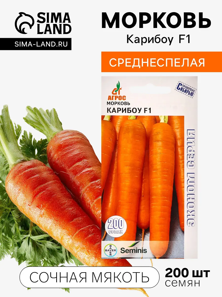 

Семена морковь,