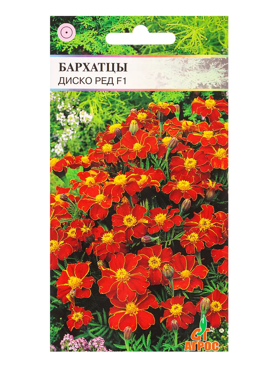 

Семена цветов бархатцы