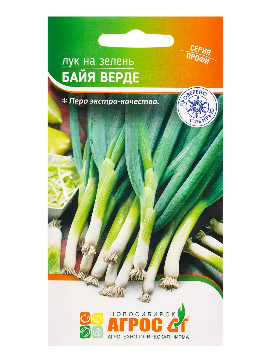 

Семена лук на зелень