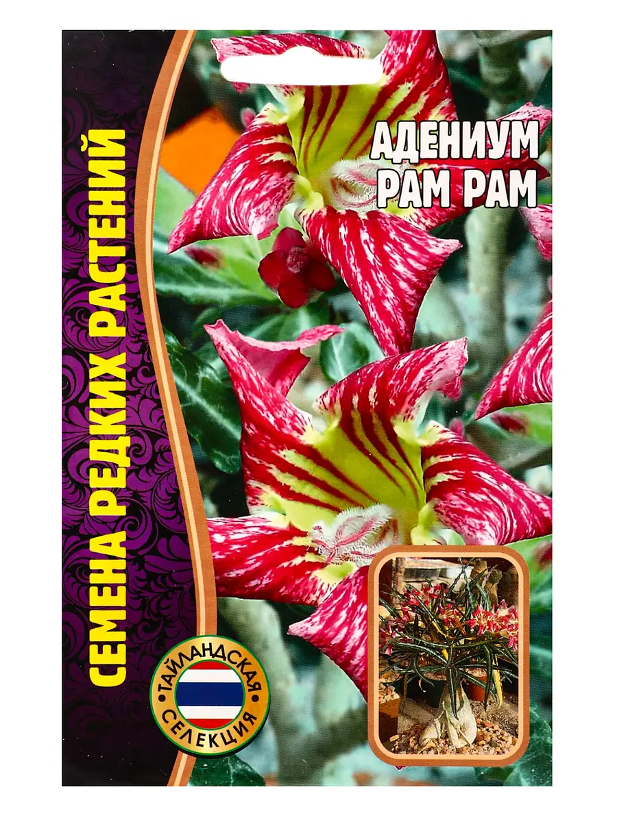 

Семена цветов адениум pam pam 3 шт. 12.29 г., Красный