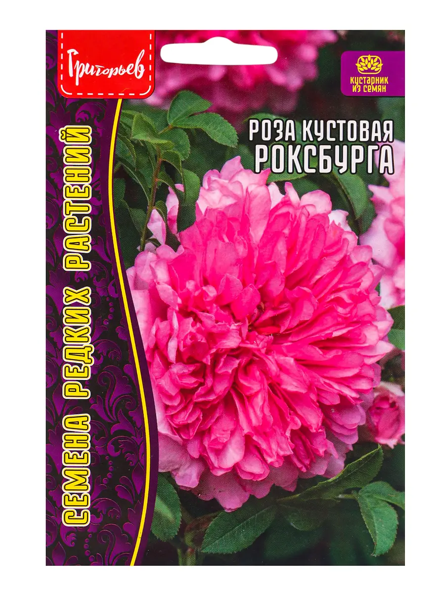 

Семена цветов роза роксбурга кустовая 10 шт. 12.29 г., Розовый