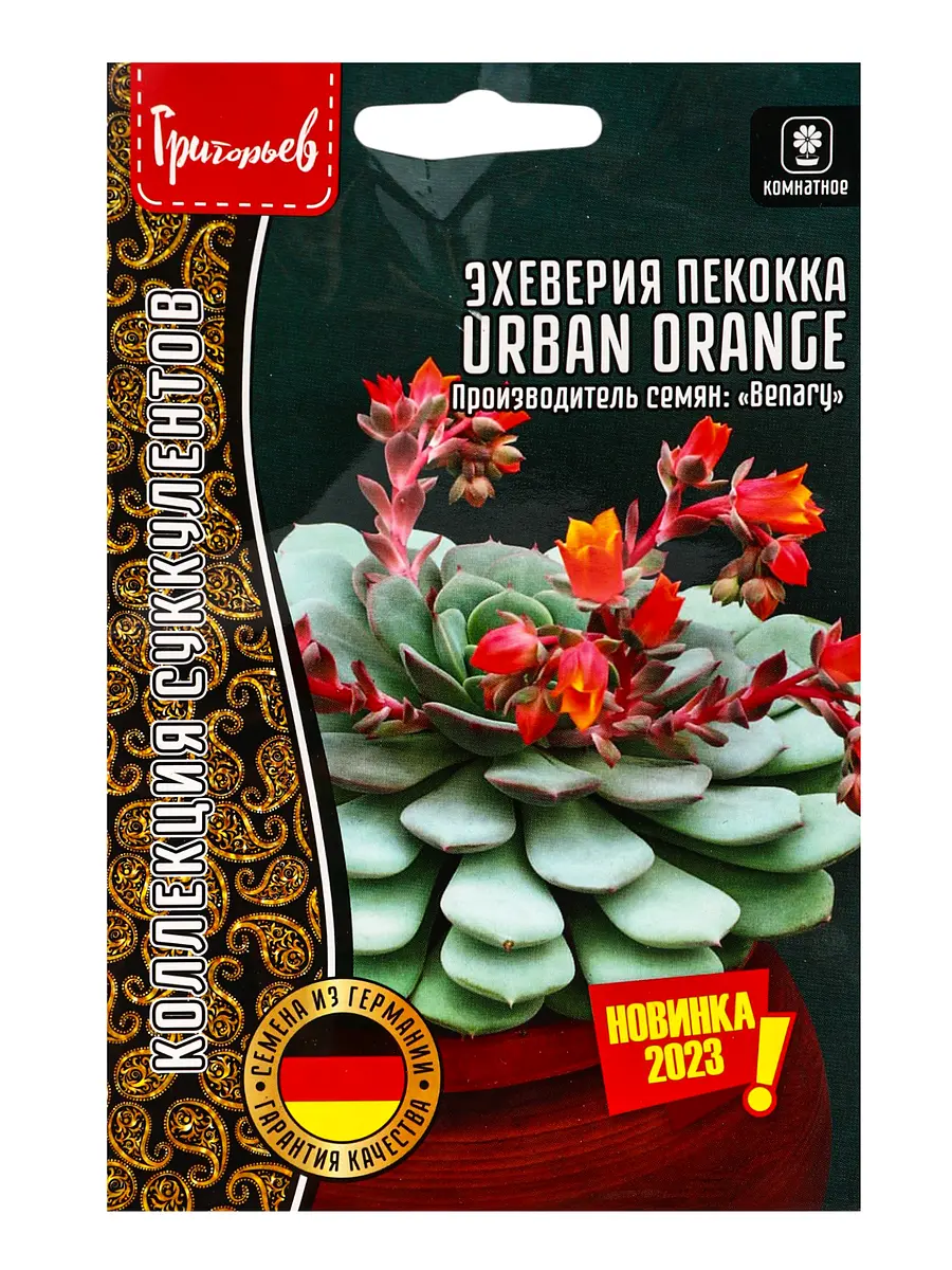 

Семена цветов эхеверия urban orange пекокка 5др. 12.29 г., Оранжевый