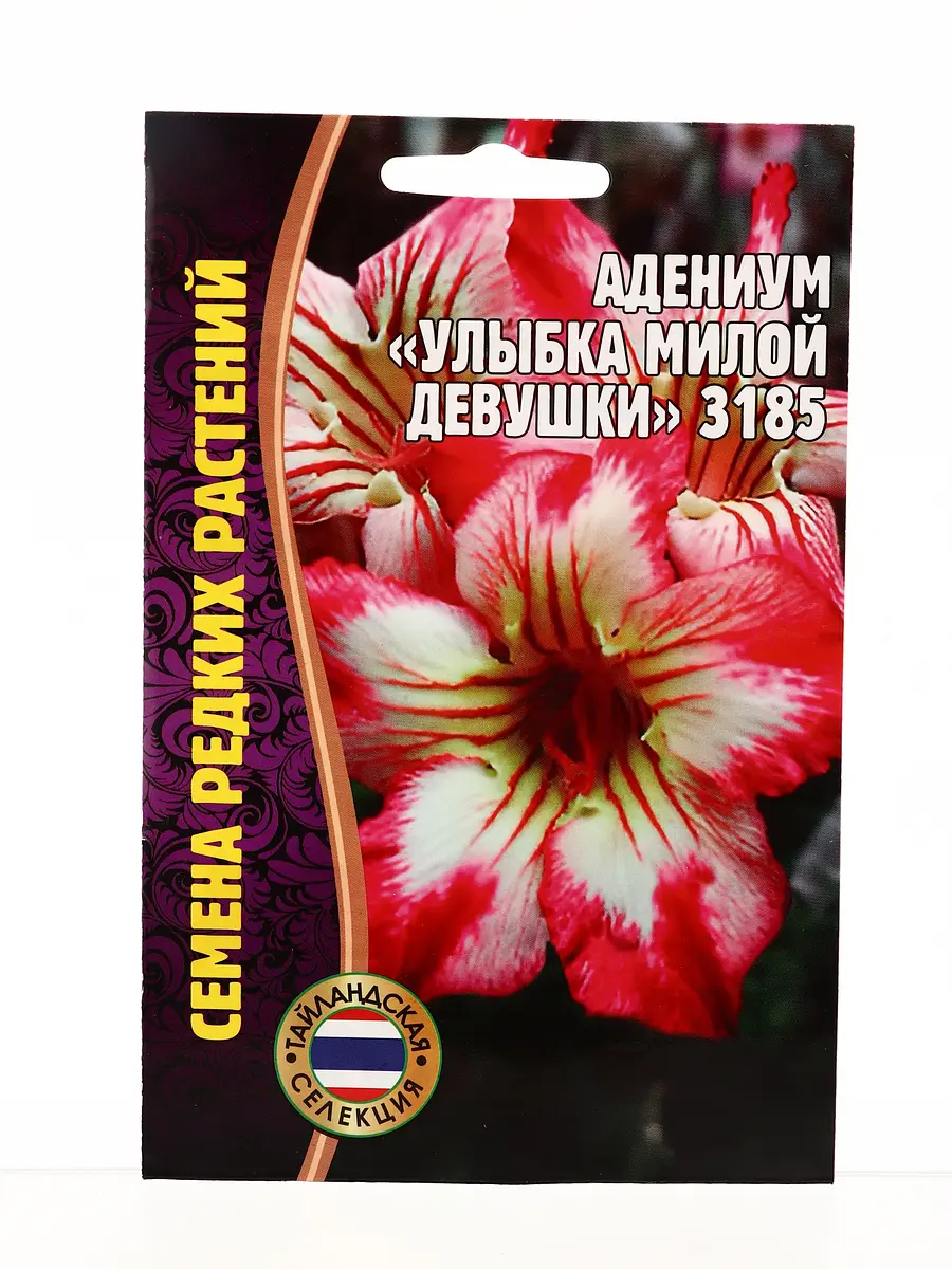 

Семена цветов адениум улыбка милой девушки 3185 3 шт. 12.29 г., Разноцветный