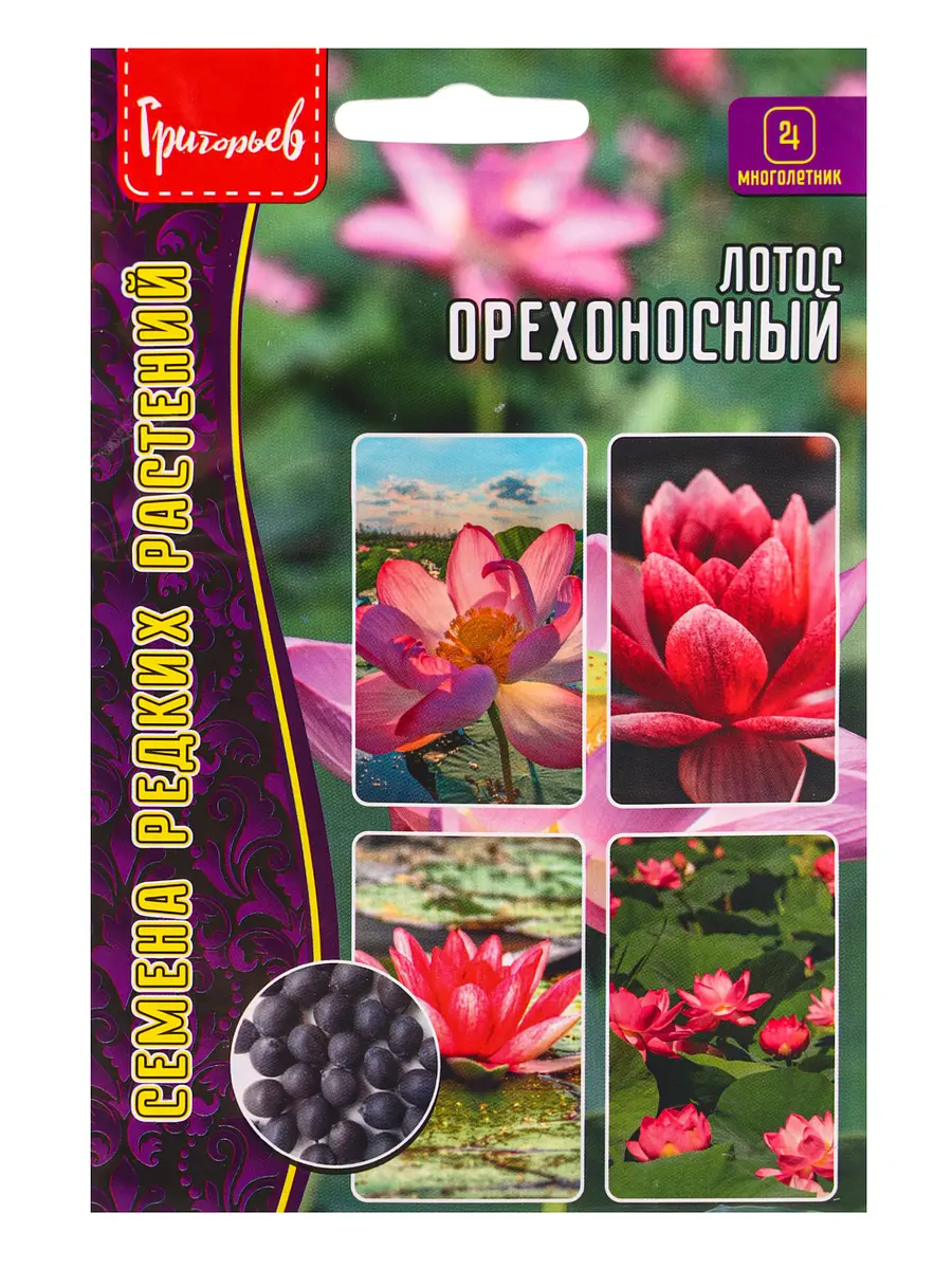 

Семена цветов лотос орехоносный 2 шт. 12.29 г., Розовый