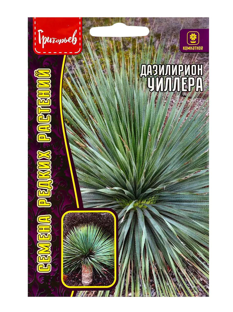 

Семена цветов дазилирион уиллера 10 шт. / новинка 12.29 г., Зеленый